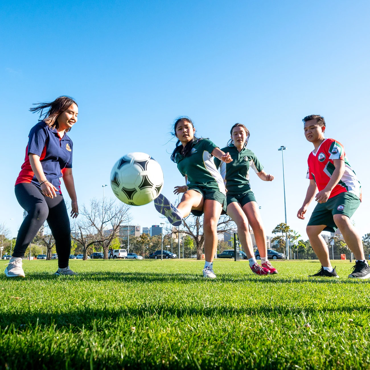 场的新人来 场的新人来